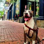 Jayson Brown - @chefjayhennessey - Instagram