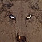 Jason Carey - @jasoncarey7769 - Instagram