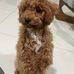 Jayson Chong - Facebook