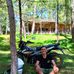 Jayson Collins - Facebook