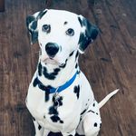 Jayson Collins - @averyjayatx - Instagram