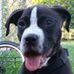 Jason Cook - Facebook
