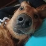 Jayson Cook - @jayson.cook.98 - Instagram