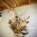 Jayson Cook - Facebook