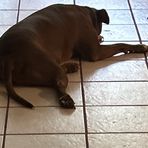 Jason Dickerson - Facebook
