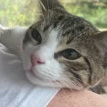 Jayson Elliott - @jayson.elliott009 - Instagram