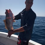 Jayson Franklin - @jaysonfranklin14 - Instagram