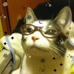 Jayson Fuentes - @moosh.shroom_ - Instagram