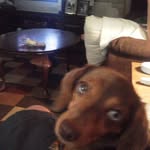 Jayson Garrett - @j.garrett0781 - Instagram
