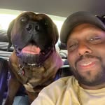 Jason Gibson - @savagekingdomboerboels - Instagram