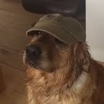 Jayson - @jayson_grace38 - Instagram
