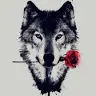 Jayson Harrison - @jayharrison29 - TikTok