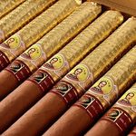 Jason Henderson - @lacasadelhabano.windsor - Instagram