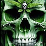 Jason Holmes - Facebook
