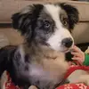 jayson jacobs - @jayson.jacobs - TikTok