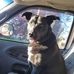 Jayson Montgomery - Facebook
