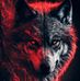 Jayson Newman - Facebook