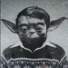 Jayson Nguyen - @januyen - TikTok