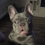 Jayson Padilla - @renips27 - Instagram