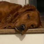 Jayson Pearce - @jaysonpearce - Instagram