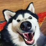 Jayson Shaw - @jaysonshaw23 - Instagram