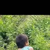 jayson - @jaysonsoto54 - TikTok