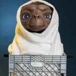 Jayson Stewart - @jaysons_friends - Instagram