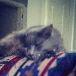 jayson stewart - @jtstew2003 - Instagram