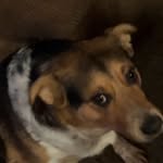 jaysonstrong - @jaysonstrong48 - Instagram