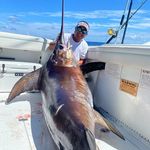 Jason Swanson - @jason.swanson - Instagram