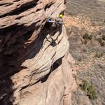 Jayson Ward - @jayson.ward.338 - Instagram