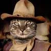 Jayson Watson - @maverick_kittytraveler - TikTok
