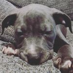Jayson Watts - @jayson.watts.1291 - Instagram