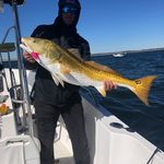 Jason Watts - @jasonwatts4 - Instagram