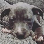 Jayson Watts - @jayson.watts.1291 - Instagram