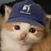 jaslyn.mitchell0 - @jaslyn.mitchelll0 - TikTok