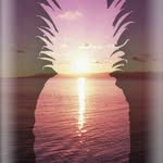 Jazmin Baker - @jazmin.baker.1276 - Instagram