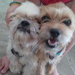 jazmin baker - @jazminbaker2006 - Instagram