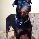 Jazmin Barber - @cele_ste7805 - Instagram