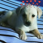 jazminbarberito1 - @jazminbarberito - Instagram