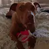 Jazmin Cox - @jazmin.cox4 - TikTok