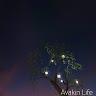 jasmine lowery - @jasminelowery17 - TikTok