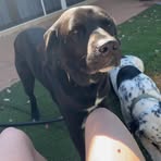 Jazmin Murphy - Facebook