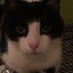 Jazmin Murphy - @jjm130306 - Instagram