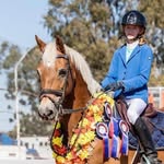 Jasmine Jensen equestrian - @jasminejequestrian - Instagram