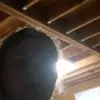 Jazmine McDaniel - @jazmine.mcdaniel - TikTok