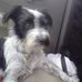 Jazmine Mitchell - Facebook