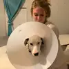 Jazmine Murray - @jazminemurraylol - TikTok