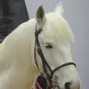 Jazmine Murray  - @jazminem1234 - TikTok