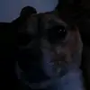 Jazmine Perry - @jazmine.perry4 - TikTok